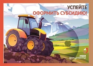 Информация Центра государственных и муниципальных услуг &quot;Мои Документы&quot;.