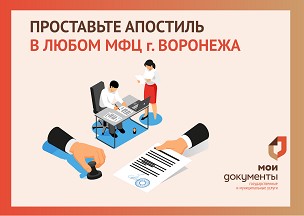 Информация Центра государственных и муниципальных услуг &quot;Мои Документы&quot;.